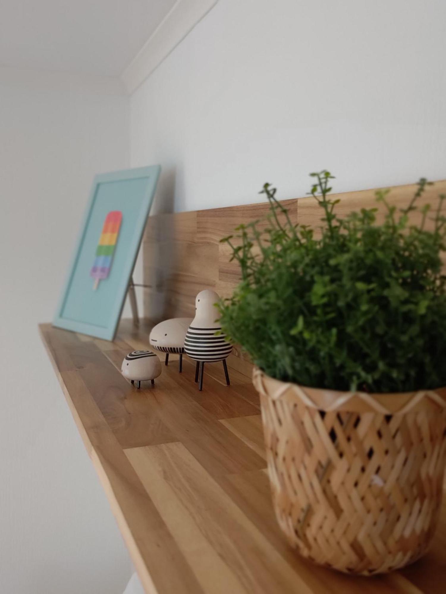 Appartementen Dorp & Duin 에크몬드안지 외부 사진